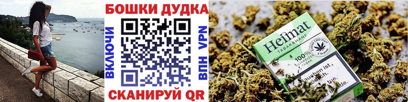 Альфа ПВП Шали