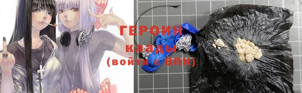 прущие грибы Бородино