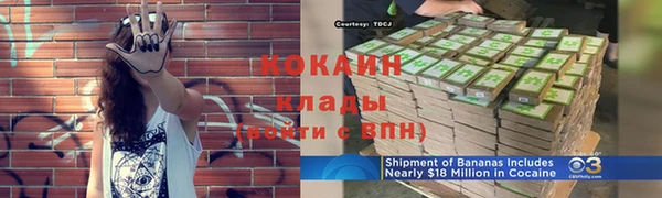 индика Богданович
