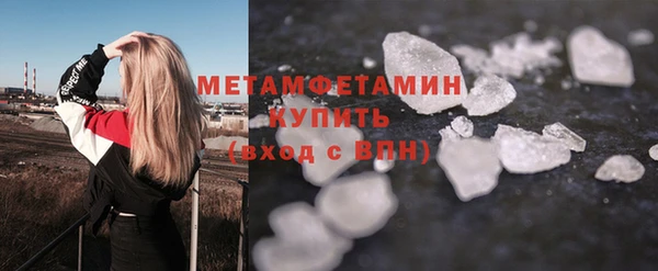 прущие грибы Бородино