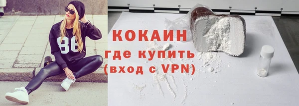 прущие грибы Бородино
