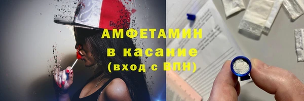 прущие грибы Бородино