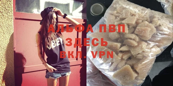 прущие грибы Бородино