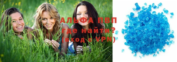 прущие грибы Бородино