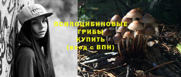 mdpv Бронницы