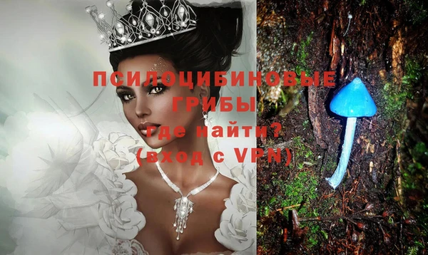 mdpv Бронницы