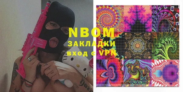 прущие грибы Бородино