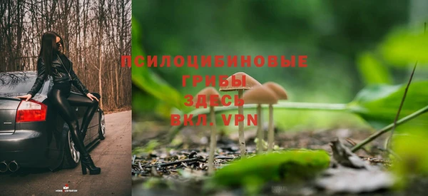 бутират Бугульма